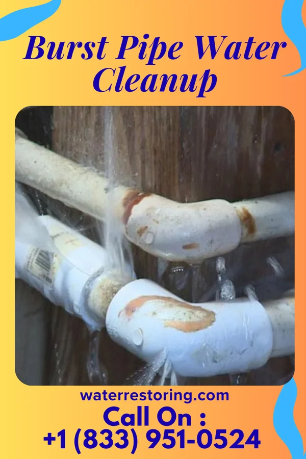 Burst Pipe Water Cleanup in Alfarata, PA
